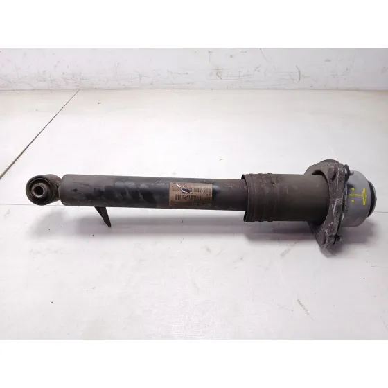 Amortiguador Trasero Izquierdo para Bmw X5 (E70)
