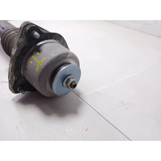 Amortiguador Trasero Izquierdo para Bmw X5 (E70)