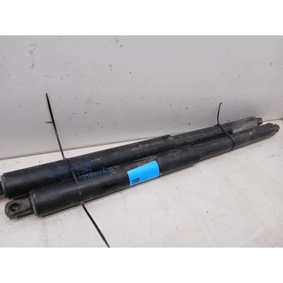 Amortiguadores Maletero / Porton para Bmw X5 (E70)