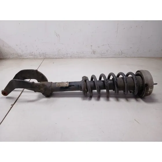 Amortiguador Delantero Izquierdo para Bmw X5 (E70)