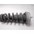 Amortiguador Delantero Derecho para Bmw X5 (E70)