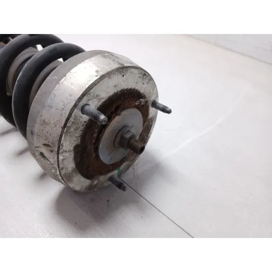 Amortiguador Delantero Derecho para Bmw X5 (E70)