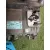 Convertidor para Kia Sportage V (Nq5)