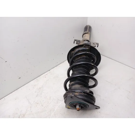 Amortiguador Delantero Izquierdo para Renault Megane Iv Hatchback (B9A/M/N_)
