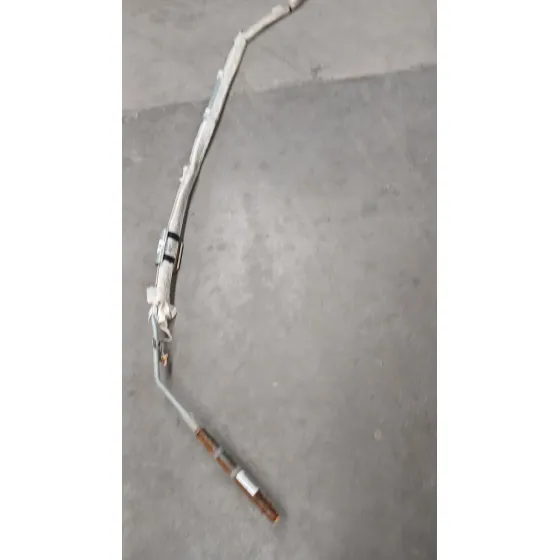 Airbag Cortina Delantero Izquierdo para Land Rover Range Rover Sport I (L320)