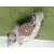 Diferencial Trasero para Land Rover Range Rover Sport I (L320)