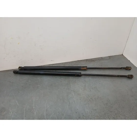 Amortiguadores Maletero / Porton para Land Rover Range Rover Sport I (L320)
