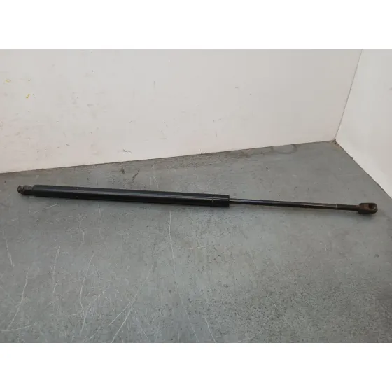Amortiguadores Maletero / Porton para Land Rover Range Rover Sport I (L320)