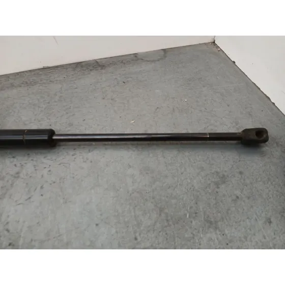 Amortiguadores Maletero / Porton para Land Rover Range Rover Sport I (L320)