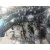 Despiece Motor para Bmw 4 Coupe (F32, F82)