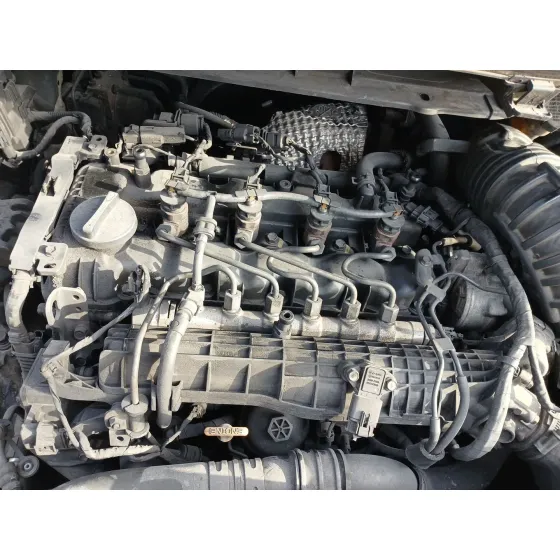 Despiece Motor para Kia Carens Iv