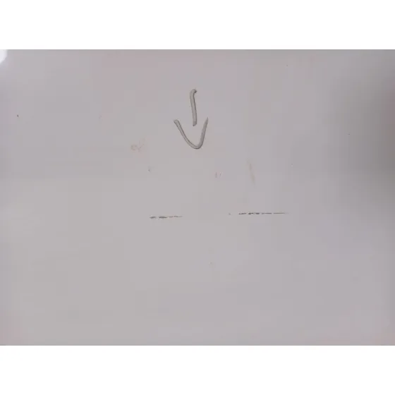 Puerta Delantera Derecha para Renault Zoe (Bfm_)