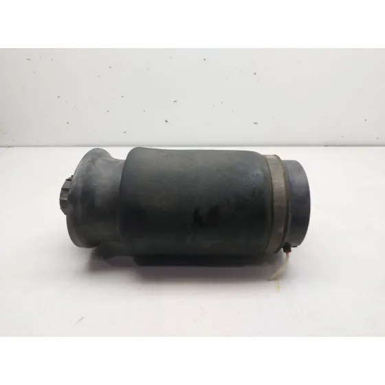 Amortiguador Trasero Derecho para Mercedes-Benz Clase M (W164)