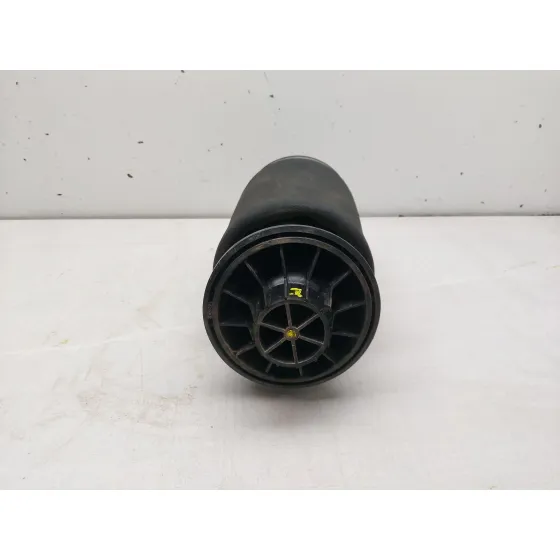Amortiguador Trasero Derecho para Mercedes-Benz Clase M (W164)