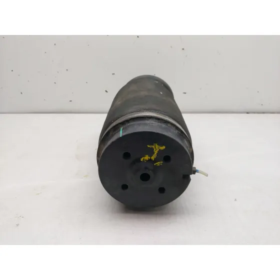 Amortiguador Trasero Izquierdo para Mercedes-Benz Clase M (W164)