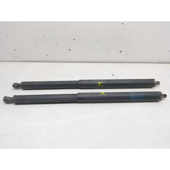 Amortiguadores Maletero / Porton para Mercedes-Benz Clase M (W164)