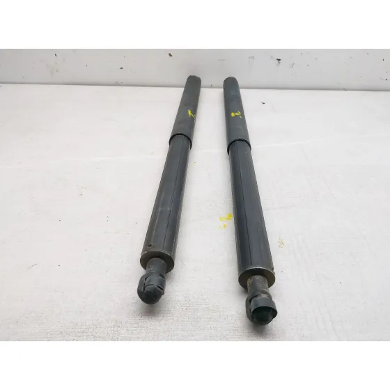 Amortiguadores Maletero / Porton para Mercedes-Benz Clase M (W164)