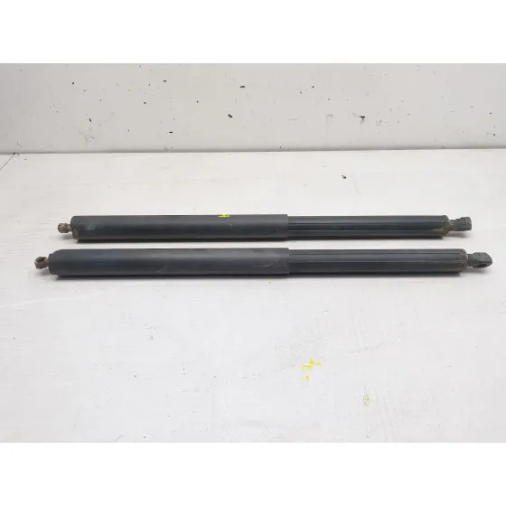 Amortiguadores Maletero / Porton para Mercedes-Benz Clase M (W164)
