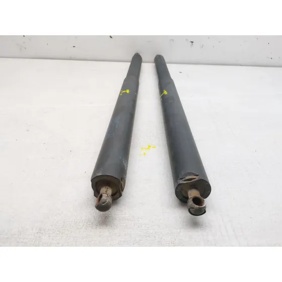Amortiguadores Maletero / Porton para Mercedes-Benz Clase M (W164)