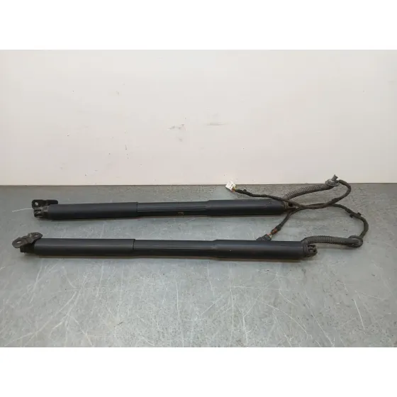 Amortiguadores Maletero / Porton para Bmw 3 Touring (F31)
