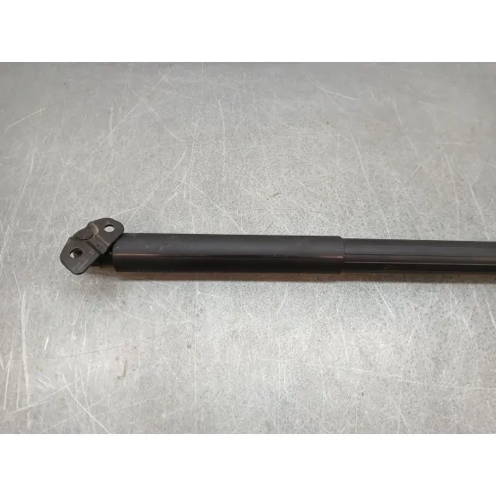 Amortiguadores Maletero / Porton para Bmw 3 Touring (F31)