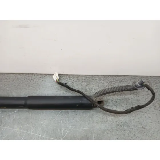 Amortiguadores Maletero / Porton para Bmw 3 Touring (F31)