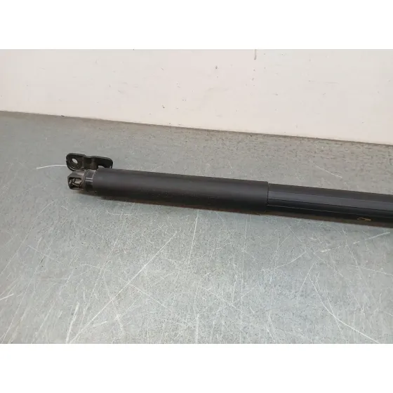 Amortiguadores Maletero / Porton para Bmw 3 Touring (F31)