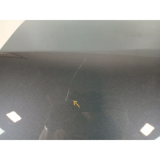 Puerta Trasera Izquierda para Tesla Model 3