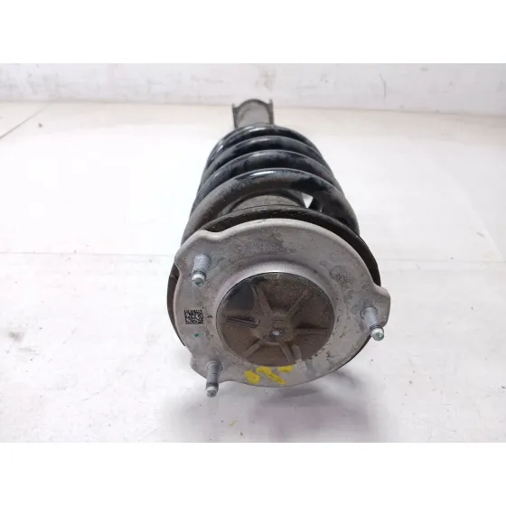 Amortiguador Delantero Izquierdo para Tesla Model 3