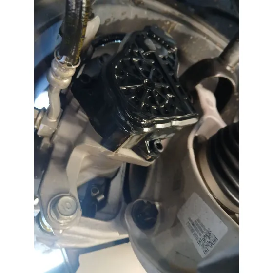 Pinza Freno Trasera Izquierda para Tesla Model 3