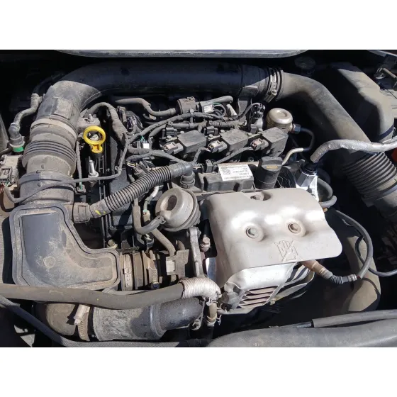 Despiece Motor para Ford Fiesta Vii (Hj, Hf)