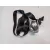 Kit Airbag para Audi A4 B9 (8W2, 8Wc)