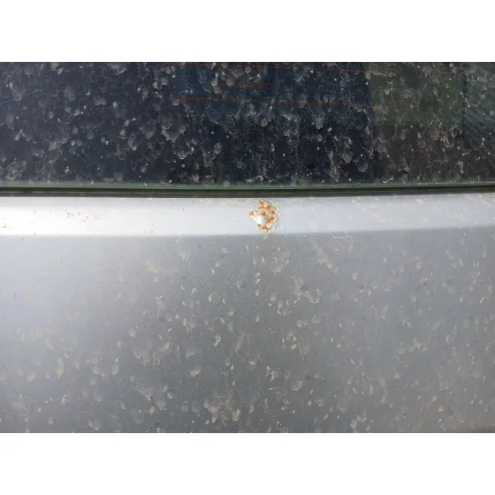 Porton Trasero para Chrysler 300C (Lx, Le)