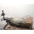 Caja Cambios para Lexus Is Ii (_E2_)