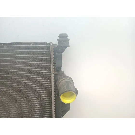 Radiador Agua para Ford Kuga I