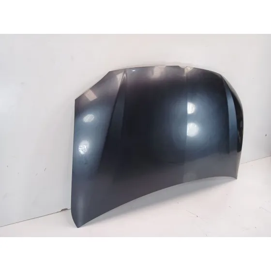 Capot para Ssangyong Rodius I