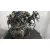 Despiece Motor para Toyota Avensis (_T25_)