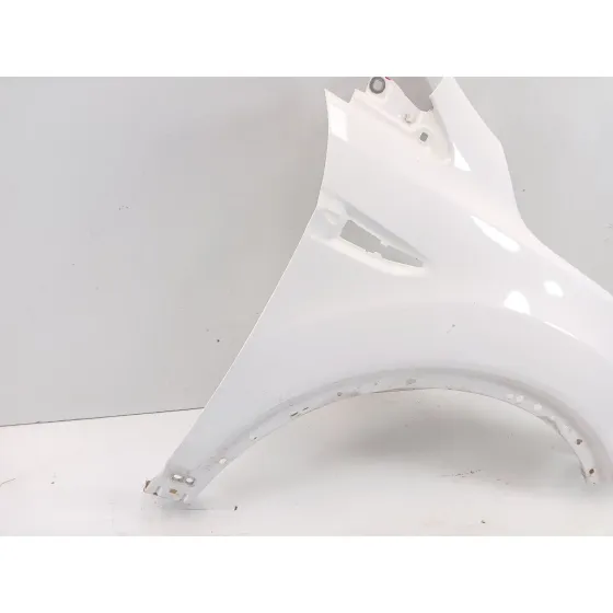 Aleta Delantera Derecha para Ford Kuga Ii (Dm2)