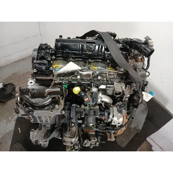 Despiece Motor para Ford Kuga Ii (Dm2)