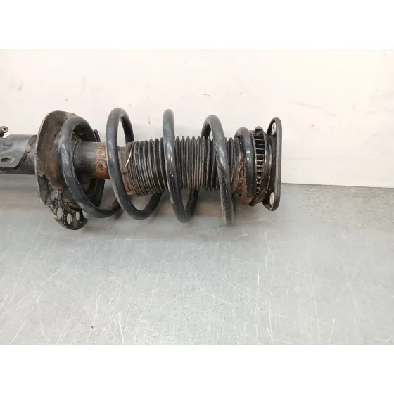 Amortiguador Delantero Derecho para Ford Kuga Ii (Dm2)