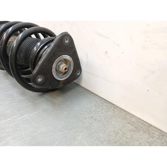 Amortiguador Delantero Derecho para Ford Kuga Ii (Dm2)