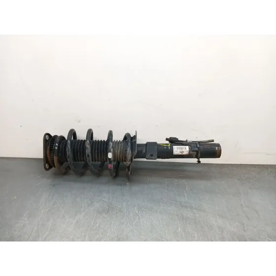 Amortiguador Delantero Izquierdo para Ford Kuga Ii (Dm2)