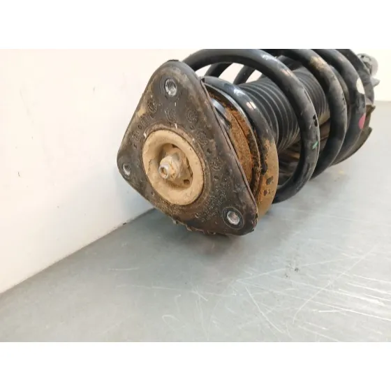 Amortiguador Delantero Izquierdo para Ford Kuga Ii (Dm2)