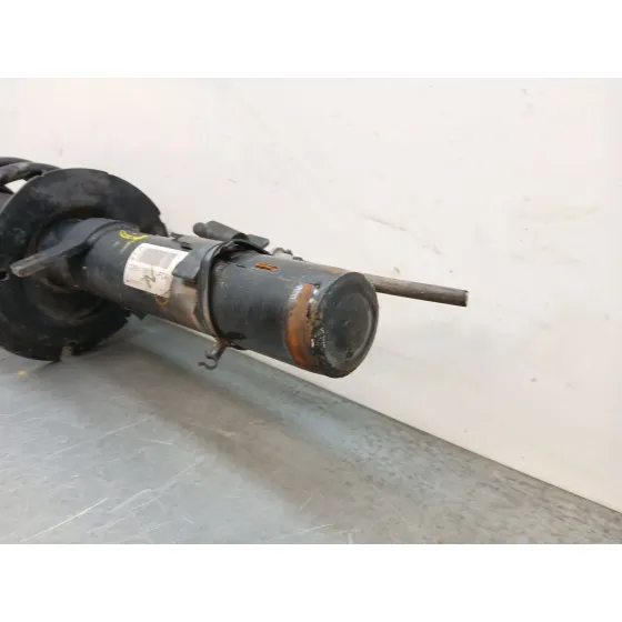 Amortiguador Delantero Izquierdo para Ford Kuga Ii (Dm2)