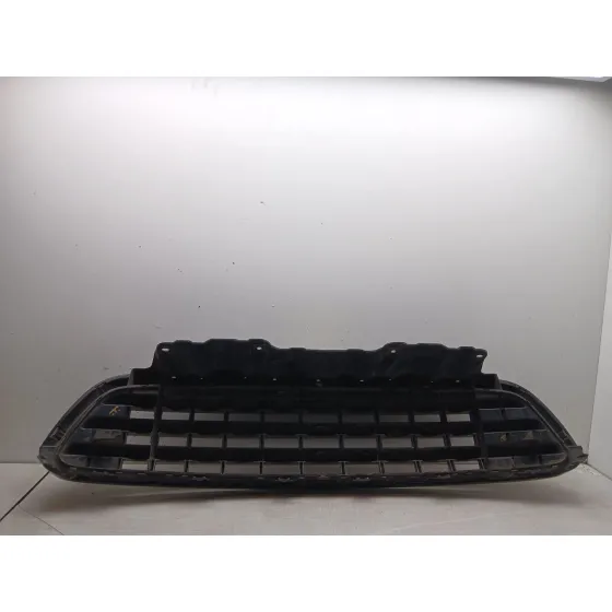 Rejilla Delantera para Mini Mini Countryman (R60)