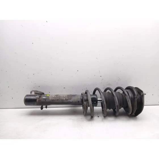 Amortiguador Delantero Izquierdo para Mini Mini Countryman (R60)