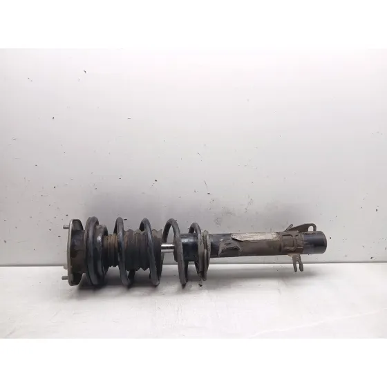 Amortiguador Delantero Izquierdo para Mini Mini Countryman (R60)