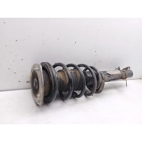 Amortiguador Delantero Izquierdo para Mini Mini Countryman (R60)