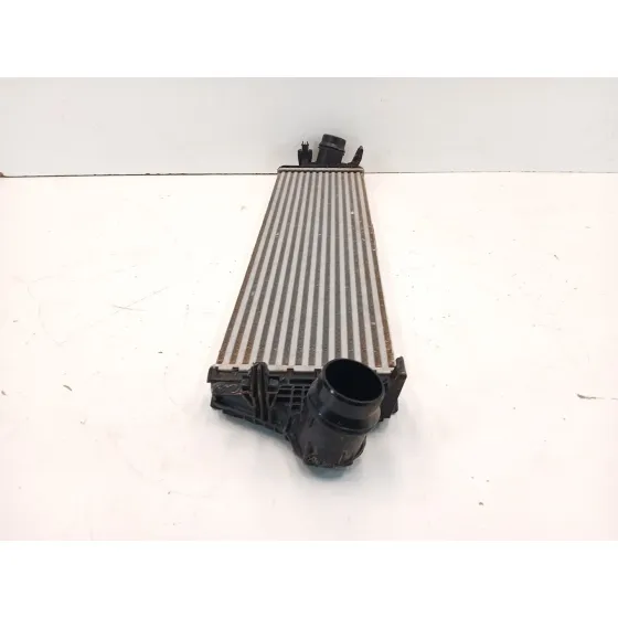 Intercooler para Ford Focus Iv (Hn)