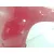 Paragolpes Delantero para Audi Q8 E-Tron Sportback (Get)
